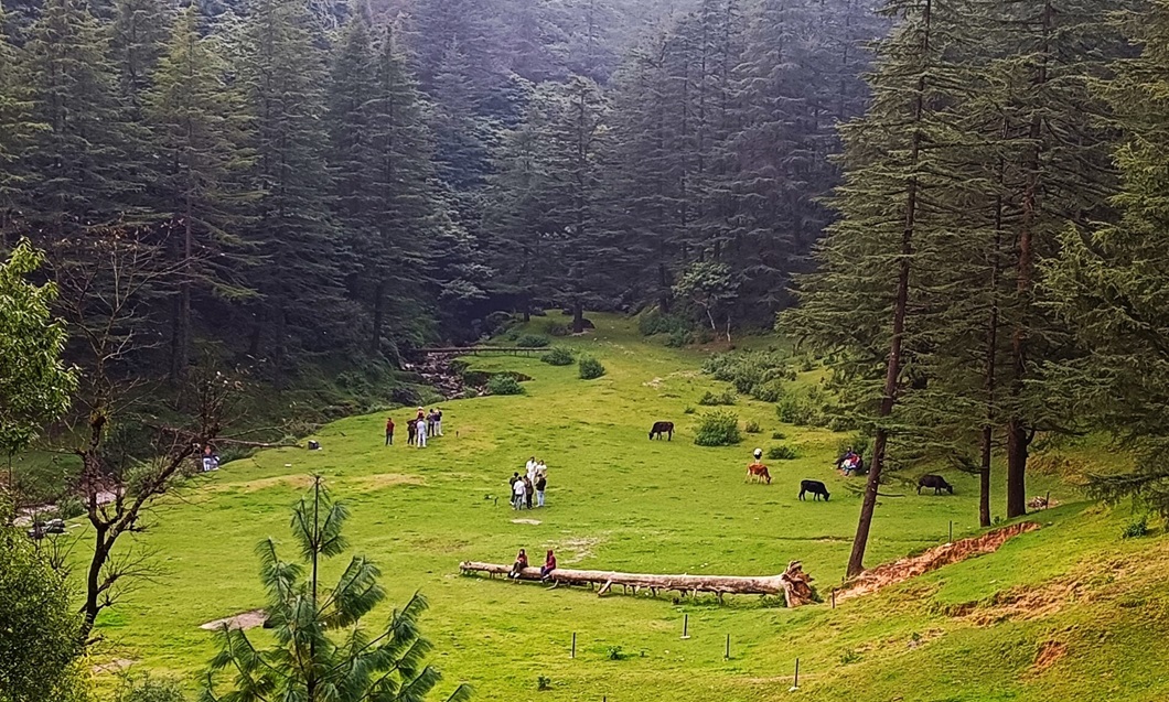 ECO Park Mussoorie ECO Park Mussoorie