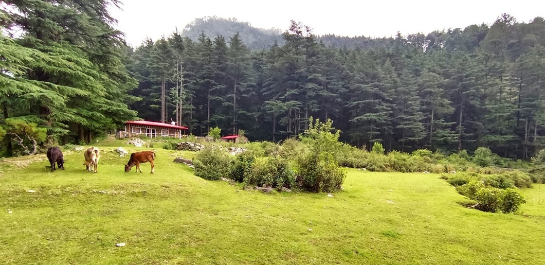 ECO Park Mussoorie ECO Park Mussoorie