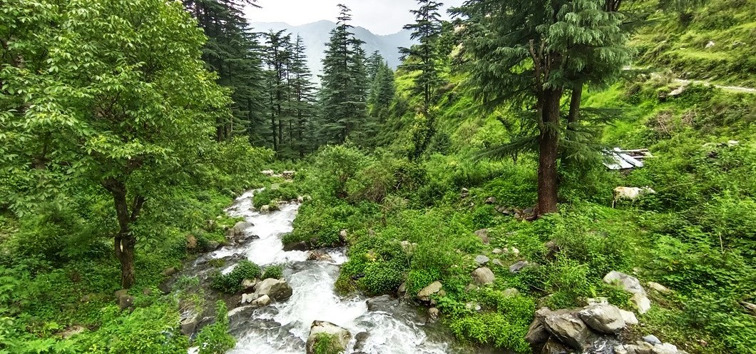 ECO Park Mussoorie ECO Park Mussoorie